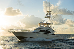 Billistic Sportfishing